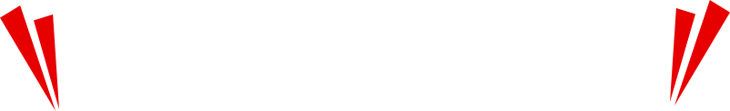 活躍しているVIPドライバーに お話し聞いちゃいました